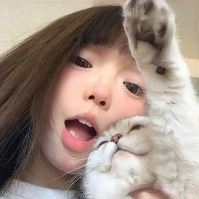 侠盗魅影